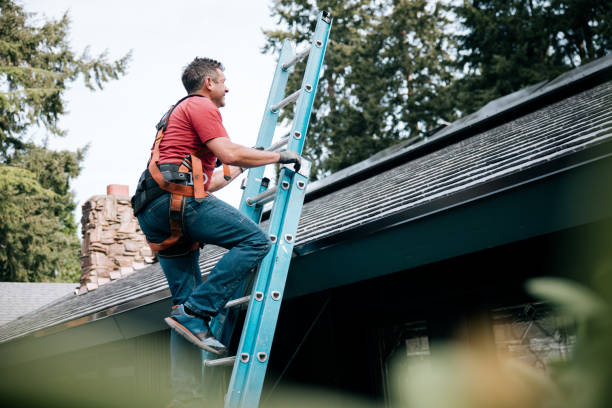 Best Solar Panel Roofing Installation  in Monticello, IL
